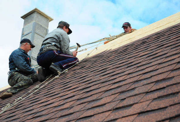 Best Roof Gutter Cleaning  in White Center, WA